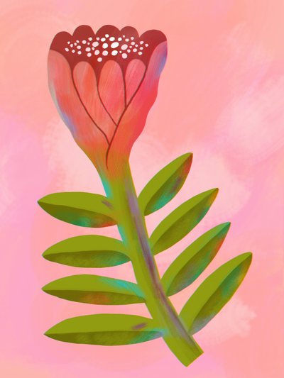 Vibrant Pink Botanical by Olga Skomorokhova