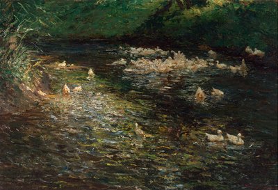Duck Pond by Olga Wisinger Florian