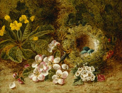 Apple Blossoms, a Primrose and Bird