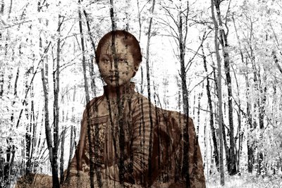 Portrait Among the Branches by Olivia Gozzano