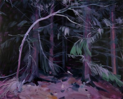 Black Forest 9 by Olivier Morel