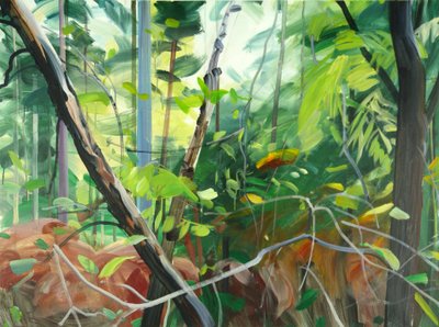 Forest 10 by Olivier Morel