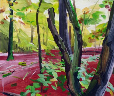 Forest 16 by Olivier Morel