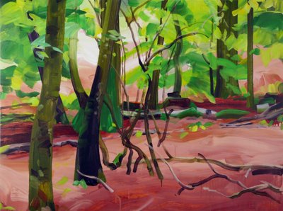 Forest 20 by Olivier Morel