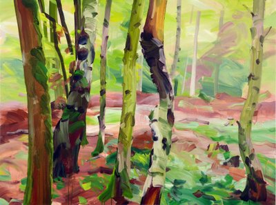 Forest 21, 2017 by Olivier Morel