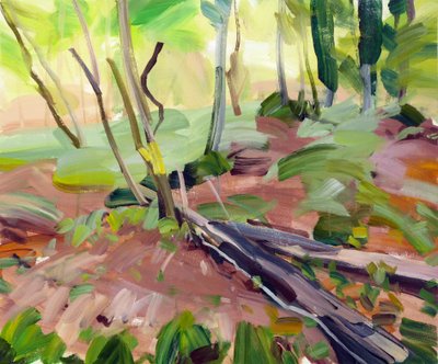 Forest 24 by Olivier Morel