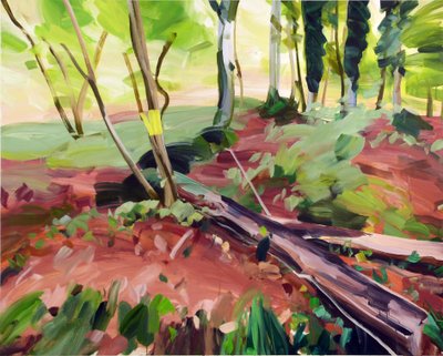 Forest 25, 2017 by Olivier Morel