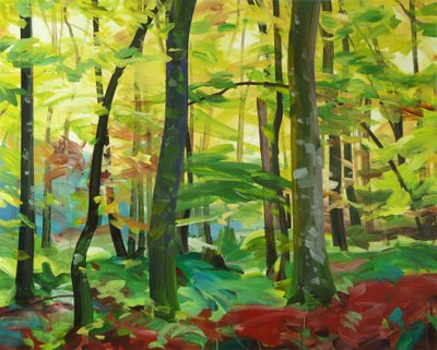 Forest 4 by Olivier Morel