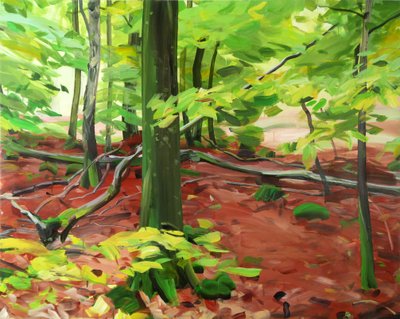 Forest 5 by Olivier Morel