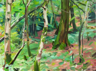 Forest 6 by Olivier Morel
