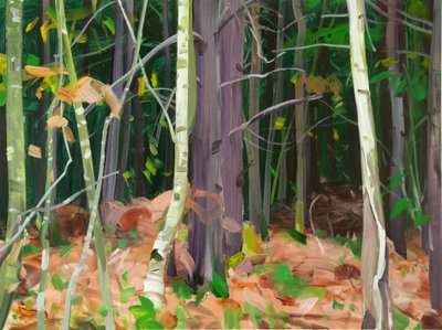 Forest 7 by Olivier Morel