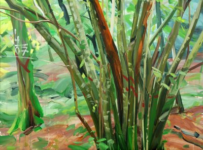 Forest 8 (2015) by Olivier Morel