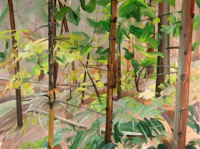 Forest 9 (2015) by Olivier Morel