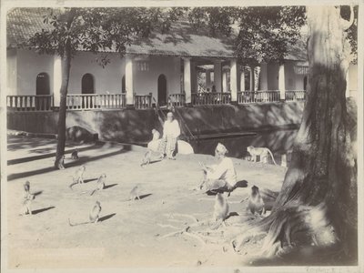 Indian Men with Monkeys on a Yard by Water, Possibly in Surabaya by Onnes Kurkdjian