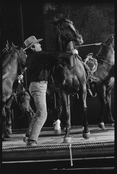 Gregory Peck with horse on the set of 