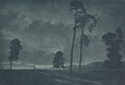 Camera Work: The Solitary Horseman, 1904 by Oscar and Theodor Hofmeister