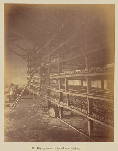 Drying house (indigo cakes on shelves) by Oscar Jean Baptiste Mallitte