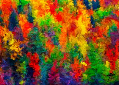 Joyful Color Explosion by Osvaldo Russo