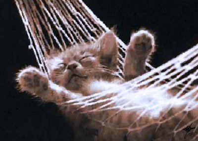 Sleeping Hammock Kitten by Osvaldo Russo