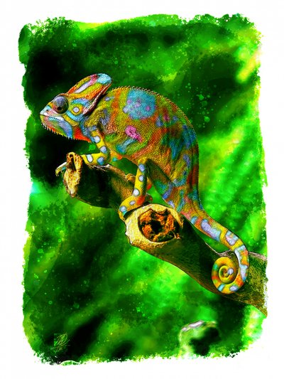 Vibrant Jungle Chameleon by Osvaldo Russo