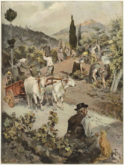 The Vintage Season in Italy by Oswaldo Tofani