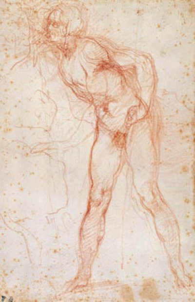 Study of a male nude turned to the left by Ottavio Vannini