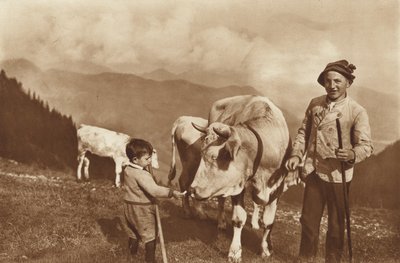 On the Alp by Otto Ballerstedt