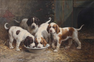 Saint Bernard Puppies Drinking Milk by Otto Eerelman
