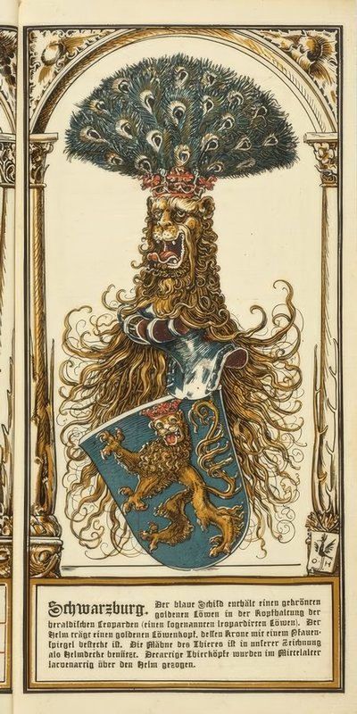 The Family Crests of the German Princely Houses: Schwarzburg by Otto Hupp