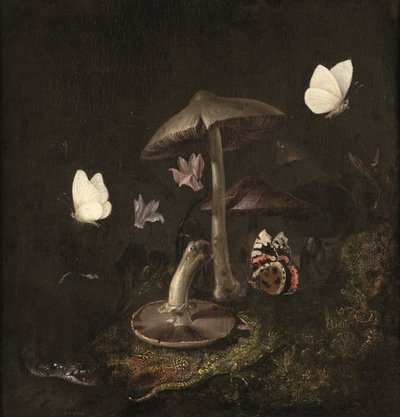  by Otto Marseus van Schrieck