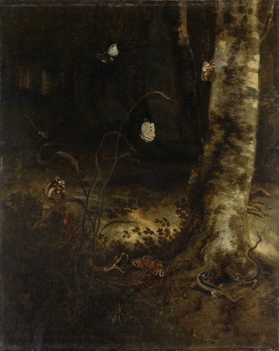 Forest Floor with a Snake, Lizards, Butterflies and Other Insects by Otto Marseus  van Schrieck