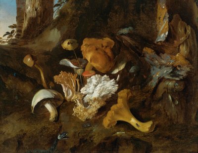 Forest Floor Still-life with Mushrooms, Butterflies and a Snake by Otto Marseus  van Schrieck