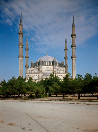 View of the Mosque by Ottoman School