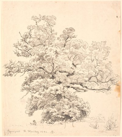 A Large Oak Tree Under Which a Man is Drawing by P.C. Skovgaard