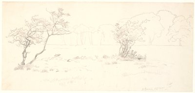 From the Hermitage Plain in Dyrehaven by P.C. Skovgaard