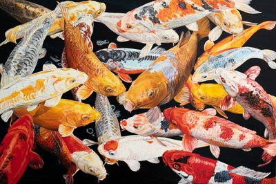 Colorful Koi Pond by PETER GOODHALL