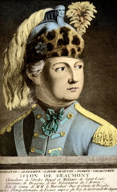 Portrait of the Knight Charles D