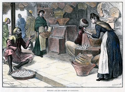 Poultry and egg market in Gibraltar, c1880 by P Naumann