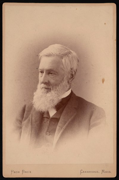 Portrait of Asa Gray by Pach Bros