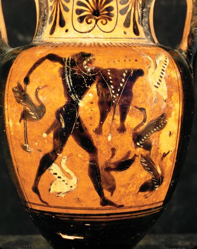Hercules Fighting the Stymphalian Birds by Painter Diosphos