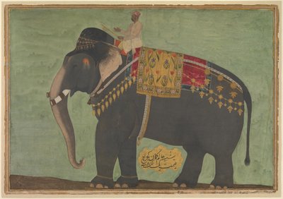 Portrait of the Elephant 