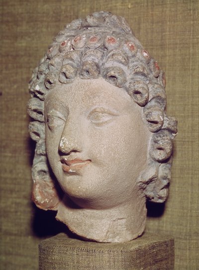 Head of a Buddha, Greco-Buddhist style, 1st-4th century by Pakistani School