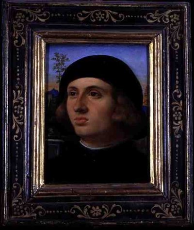 Portrait of a Young Man by Palma Il Giovane