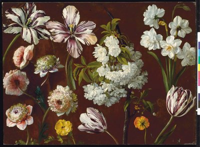 Purple tulips, white flowering prunus, narcissus and pink chrysanthemum by Pancrace Bessa