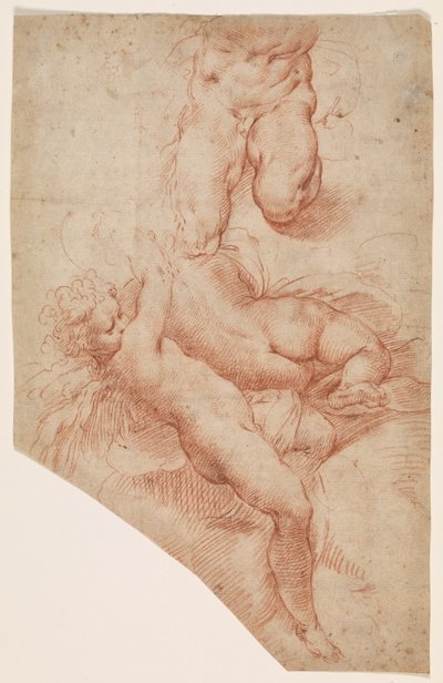 An Angel or Putto, a Reclining Woman Seen from the Back, and the Lower Body of a Muscular Man by Paolo Farinati