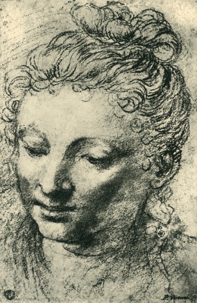 Head of a woman looking down, mid 16th century, 1943 by Paolo Veronese