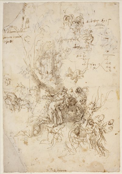 Sketches for the Birth and Death of Adonis by Paolo Veronese