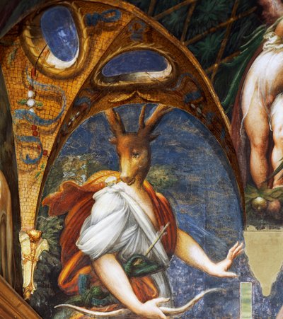 Actaeon turned into stag by Diana, (detail) of the Diane and Acteon hall by Parmigianino