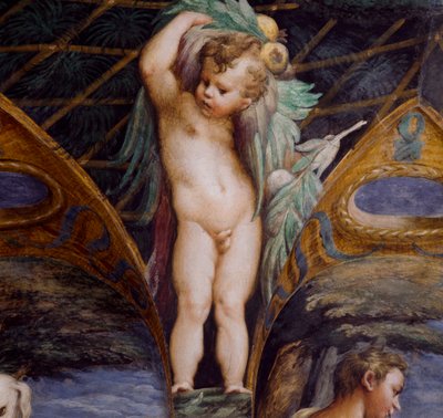 Cherub (detail) by Parmigianino