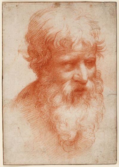 Head of a Bearded Man, looking right, c.1523-25 by Parmigianino (1503 40)